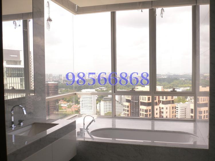 Orchard View (D9), Apartment #167377342